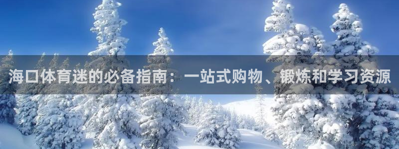 3377体育官方正版app官方:海口体育迷的必备指南:一站式