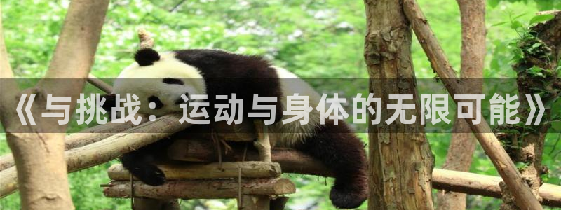3377体育官方平台体育:《与挑战:运动与身体的无限可能》