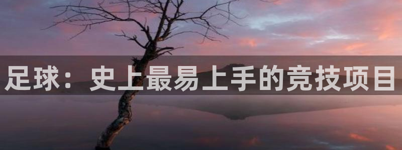 3377体育官方正版app娱乐代理怎么样:足球:史上最易上手