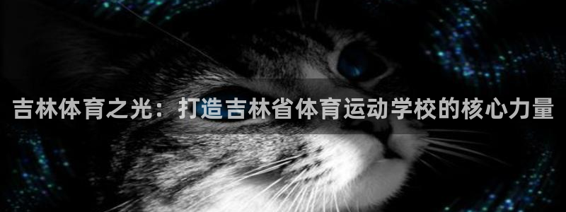 3377体育官方正版app神州:吉林体育之光:打造吉林省体育