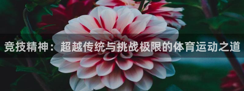 3377体育官方正版app娱乐:竞技精神:超越传统与挑战极限