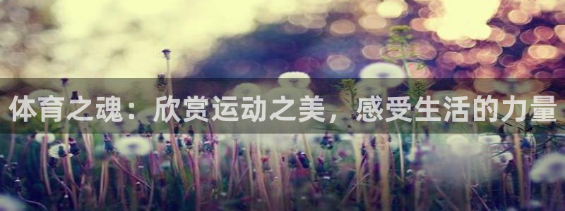 3377体育官方正版app娱乐是那个系列的台子:体育之魂:欣